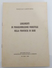 Lineamenti Programmazione