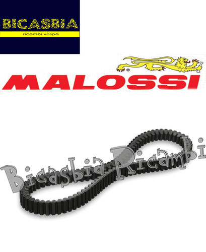 12108 cinghia variatore - -,