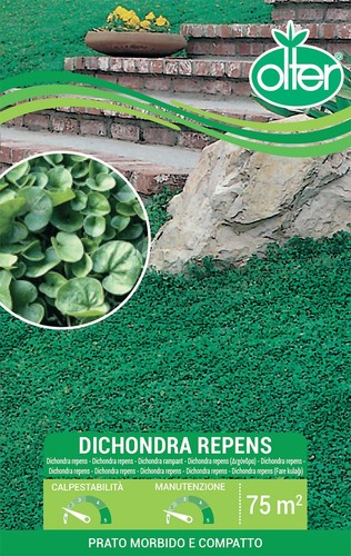 Dichondra repens olter - dichondra,