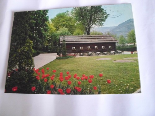 Belluno birreria pedavena - birreria,