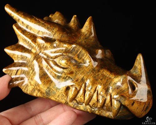 Scultura teschio testa - , di