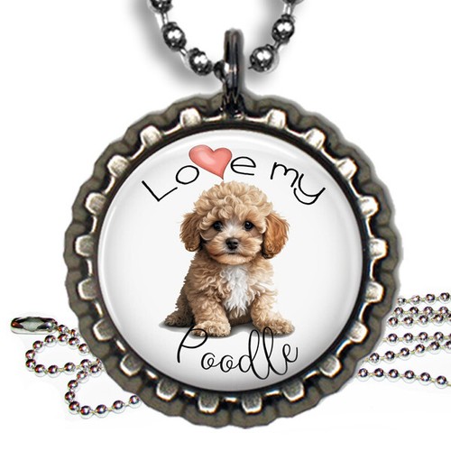 Love poodle cucciolo - cucciolo, cane