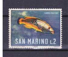 Francobolli San Marino 1966 Fauna Marina Pesci 2 L. MNH Labro Pavone SAS722