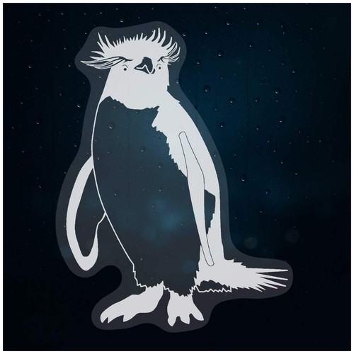 Rockhopper penguin - 'rockhopper, penguin'