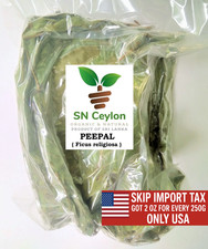 FOGLIE DI PEEPAL essiccate Ficus religiosa fico sacro buddismo Pooja Bodhi 250g-750g