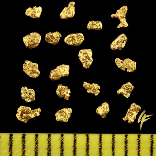Regalo ottimo pepite in - pepite,