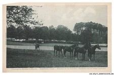 CAR-AFQP1-0025-61 - MAHERU -