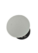 Altoparlante da soffitto