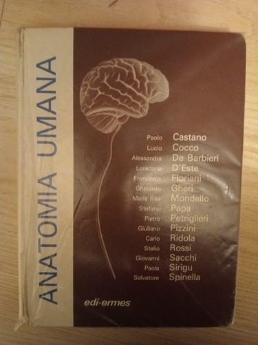 Anatomia umana
