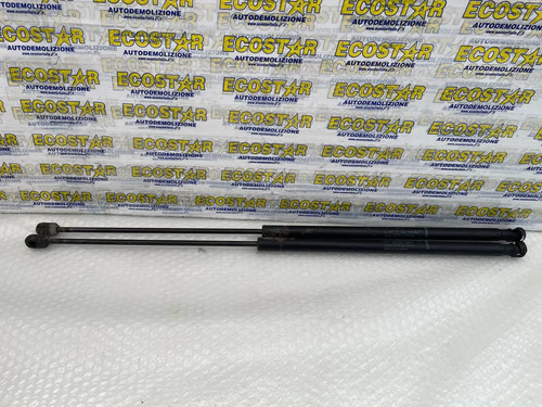 Ammortizzatori pistoni cofano - ammortizzatori,