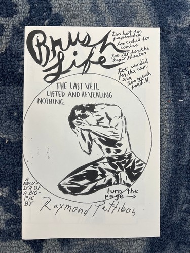 Raymond pettibon zine - pettibon, brush