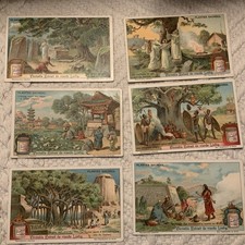 6 x Liebig Cards Plantes