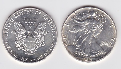 Moneta argento dollaro - moneta,