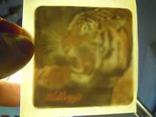 RARA FIGURINA IN PLASTICA A RILIEVO - OMAGGIO KELLOGG'S - TIGRE -  32-164