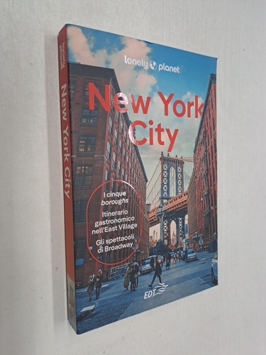 New york city aavv lonely - city,