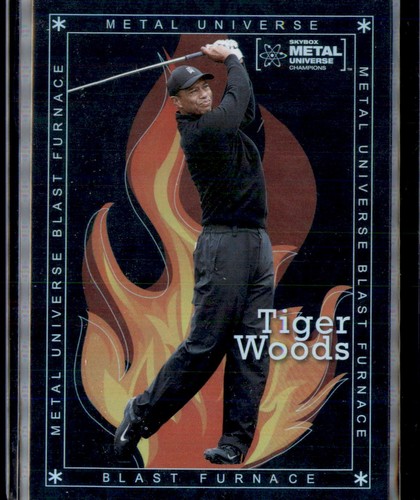 Tiger woods 2021 - tiger, metal