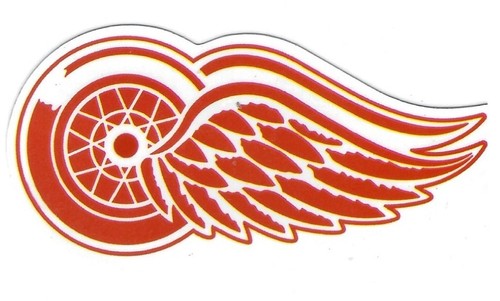 Nhl hockey vinyl - nhl, decal