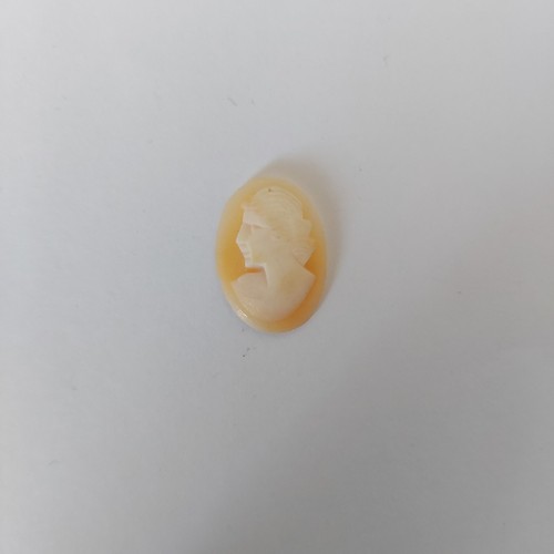 Cammei camei cameo - cammei,