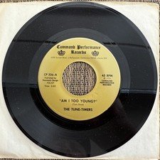 The Tune-Timers - Am I Too