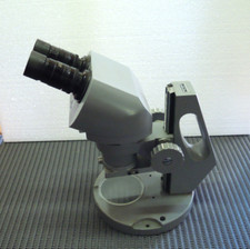 Stereomicroscopio CBS Beck