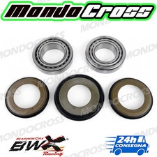 cuscinetti sterzo kit