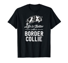Cane Border Collie cucciolo