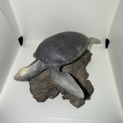 Scultura tartaruga numerata