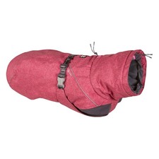 Expedition Parka, Winter Dog