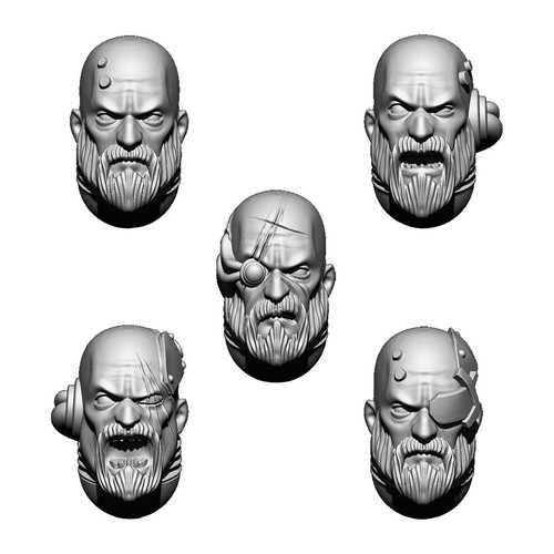 Set teste templari imperiali - teste,