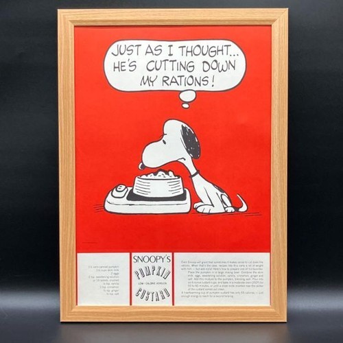 Peanuts vintage poster - peanuts,
