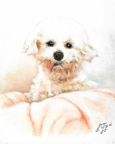 Dipinto ritratto cane - ✤,