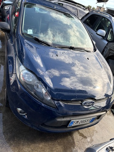 Musata muso kit frontale - , ford