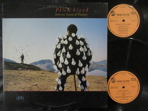 Pink floyd delicate sound - delicate, of