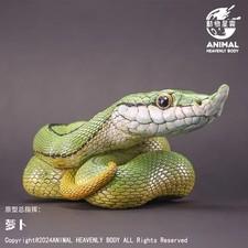 Animale Corpo Celeste Barone