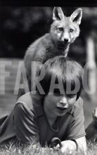 Foto vintage Regno Unito