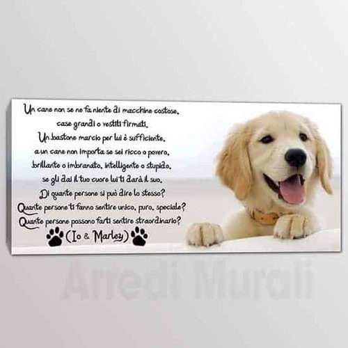 Stampa tela con frase io - con, di