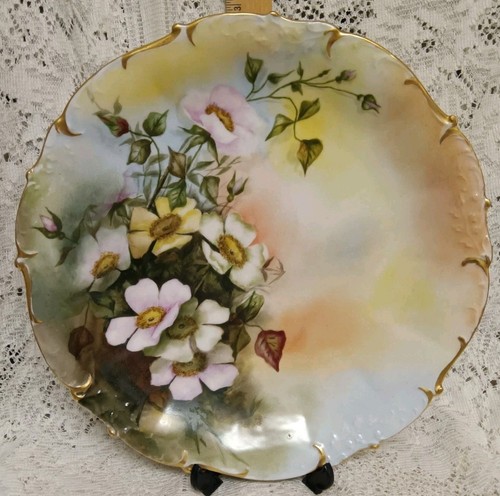 Elite limoges piastra - elite,