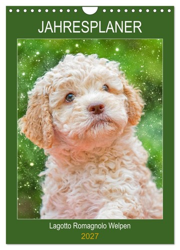 Jahresplaner lagotto romagnolo - jahresplaner,
