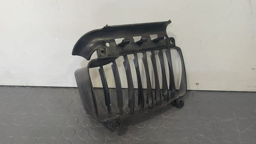 Carena griglia radiatore
