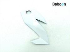 Carena anteriore superiore