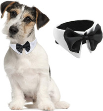 Tux Papillon per Cani