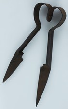 FORBICE TOSAPECORE ANTICA IN FERRO FORGIATO CM 26,5