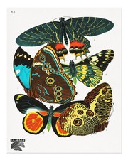 Farfalle colorate arte da