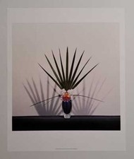 Poster Robert Mapplethorpe, Orchid with Palmetto, 1982