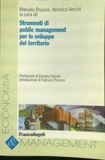 STRUMENTI DI MANAGEMENT PER LO