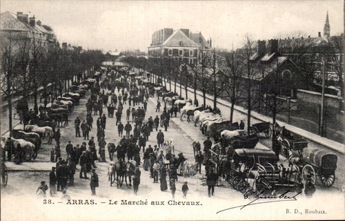 Arras marché aux - —, le