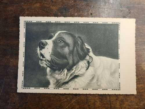 Cartolina cane compagnia - cane,