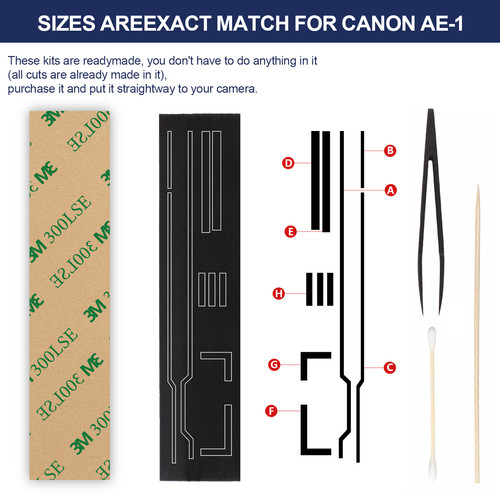 Custom light seal - custom, sponge