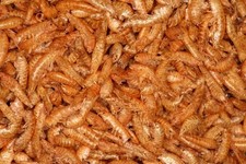 1kg di Gamberetti essiccati