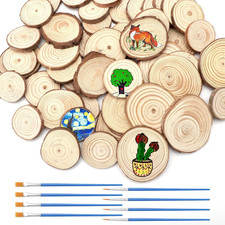 50 Pezzi Di Piccoli Dischi Di